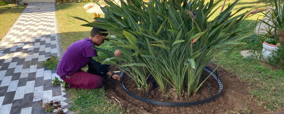 Jardinería para comunidades