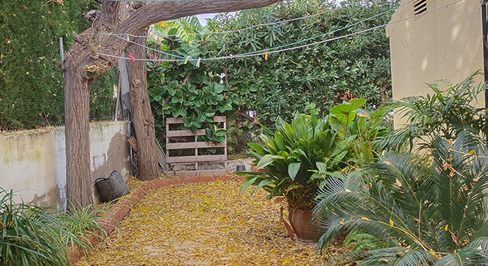 Mantenimiento de jardines