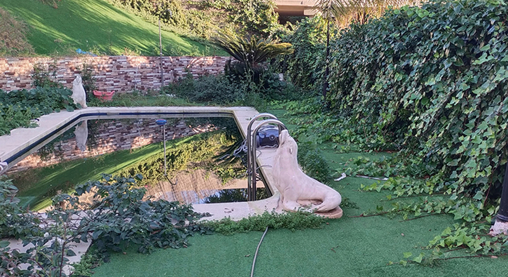 Cuidado de jardines